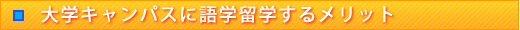 wLpXɌww郁bg