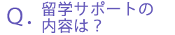 wT|[g̓éH
