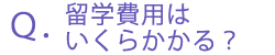 wp͂炩H